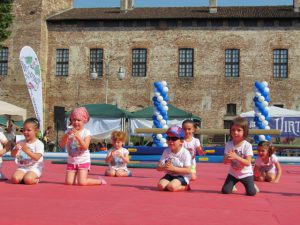 IMG_2581