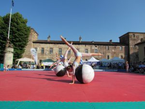 IMG_2839
