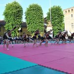 Saggio-2017_130